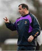 8 January 2017; Wexford manager Seamus McEnaney during the Bord na Mona O'Byrne Cup Group 1 Round 1 match between Wexford and UCD at Páirc Uí Suíochan in Gorey, Co. Wexford.  Photo by Ramsey Cardy/Sportsfile