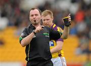 28 May 2011; Patrick Sullivan, referee. Leinster GAA Football Senior Championship First Round, Wexford v Offaly, O'Connor Park, Tullamore, Co. Offaly. Picture credit: Pat Murphy / SPORTSFILE