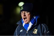 13 January 2017; Leinster supporter Brian Russell, from Navan, Co. Meath, during the European Rugby Champions Cup Pool 4 Round 5 match between Leinster and Montpellier at the RDS Arena in Dublin. Photo by Ramsey Cardy/Sportsfile