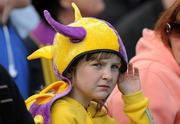 11 June 2011; A Wexford supporter during the game. Leinster GAA Football Senior Championship Quarter-Final, Wexford v Westmeath, Wexford Park, Wexford. Picture credit: Pat Murphy / SPORTSFILE
