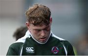 19 January 2017; Darragh Murphy of Tullow Community School after defeat in the Bank of Ireland Vinnie Murray Cup Round 2 match between CBC Monkstown and Tullow Community School at Donnybrook Stadium in Dublin. Photo by Piaras Ó Mídheach/Sportsfile