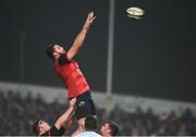 21 January 2017; Jean Kleyn of Munster wins possession in a lineout during the European Rugby Champions Cup Pool 1 Round 6 match between Munster and Racing 92 at Thomond Park in Limerick. Photo by Diarmuid Greene/Sportsfile