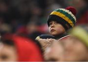 21 January 2017; A youthful Munster supporter looks on during the European Rugby Champions Cup Pool 1 Round 6 match between Munster and Racing 92 at Thomond Park in Limerick. Photo by Diarmuid Greene/Sportsfile