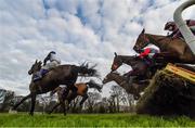 22 January 2017; A general view of runners and riders on the back straight during The 'Download The Coral App' Mares Maiden Hurdle during the Leopardstown Races at Leopardstown Racecourse in Dublin. Photo by Cody Glenn/Sportsfile
