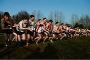 22 January 2017; A general view of the start of the Intermediate men's race during the Irish Life Health Intermediate & Juvenile Inter Club Relay at Palace Grounds in Tuam, Co.Galway.  Photo by Sam Barnes/Sportsfile