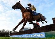 22 January 2017; Yorkhill, with Ruby Walsh up, clear the last on their way to winning the 'Money Back On All Fallers' At Coral.ie Novice Steeplechase during the Leopardstown Races at Leopardstown Racecourse in Dublin. Photo by Cody Glenn/Sportsfile