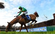 22 January 2017; Baily Cloud, with Mark Enright up, fall over the last during the 'Money Back On All Fallers' At Coral.ie Novice Steeplechase during the Leopardstown Races at Leopardstown Racecourse in Dublin. Photo by Cody Glenn/Sportsfile