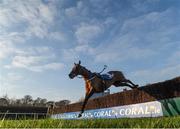 22 January 2017; The Paparrazi Kid, clears the last after parting company with Mikey Fogarty during the Coral.ie Leopardstown Handicap Steeplechase during the Leopardstown Races at Leopardstown Racecourse in Dublin. Photo by Cody Glenn/Sportsfile