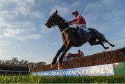 22 January 2017; Total Recall, with Roger Loughran up, clear the last during the Coral.ie Leopardstown Handicap Steeplechase during the Leopardstown Races at Leopardstown Racecourse in Dublin. Photo by Cody Glenn/Sportsfile