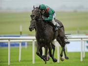 24 June 2011; Sharestan, with Johnny Murtagh up, on their way to winning the Sycamore Lodge Equine Hospital Maiden. Horse Racing, The Curragh Racecourse, Co. Kildare. Picture credit: Matt Browne / SPORTSFILE