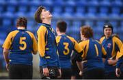 26 January 2017; Oscar King of St Mary's Diocesan Drogheda reacts after a second half try by his opponents during the Bank of Ireland Fr Godfrey Cup semi-final match between Temple Carrig and St Mary's Diocesan School Drogheda at Donnybrook Stadium in Dublin. Photo by Cody Glenn/Sportsfile