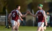 28 January 2017; Our Lady’s Templemore's Paddy Cadell, left, and Brian McGrath celebrate after the Dr. Harty Cup Semi-final match between Our Lady’s Templemore and Nenagh CBS at Toomevara in Co. Tipperary. Photo by Piaras Ó Mídheach/Sportsfile