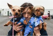 29 January 2017; Maria Farrell, from Kilbarrack, with her dogs Marley and Sally prior to the Bord na Mona O'Byrne Cup Final match between Louth and Dublin at the Gaelic Grounds in Drogheda, Co Louth. Photo by Philip Fitzpatrick/Sportsfile