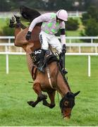 29 January 2017; Royal Caviar, with Ruby Walsh up, fall over the last while leading the field, in the Frank Ward Solicitors Arkle Novice Steeplechase during the Leopardstown Races at Leopardstown Racecourse in Dublin. Photo by Cody Glenn/Sportsfile