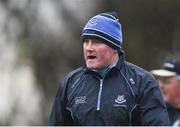 29 January 2017; Dublin manager Mick Bohan during the Lidl Ladies Football National League Round 1 match between Dublin and Monaghan at Naomh Mearnóg in Portmarnock, Co Dublin. Photo by David Fitzgerald/Sportsfile