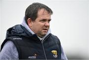 29 January 2017; Davy Fitzgerald manager of Wexford during the Bord na Mona Walsh Cup Semi-Final match between Wexford and Kilkenny at O'Kennedy Park in New Ross, Co Wexford. Photo by Matt Browne/Sportsfile