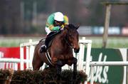 10 February 2002; Like-A-Butterfly, with Charlie Swan up,  jumps on his way to winning the Deloitte And Touche Novice Hurdle during Horse Racing from Leopardstown Racecourse in Dublin. Photo by Matt Browne/Sportsfile