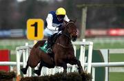 10 February 2002; Scolardy,  with Ruby Walsh up, jumps the last on his way to finishing second in the Cashmans Bookmakers Juvenile Hurdle during Horse Racing from Leopardstown Racecourse in Dublin. Photo by Matt Browne/Sportsfile