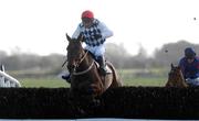 23 February 2002; Joe Blake, with Liam Lennon up, jumps the last on their way to winning the Fairyhouse Schooling Races Hunters at Fairyhouse Racecourse in Ratoath, Meath. Photo by Ray McManus/Sportsfile