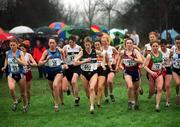 24 February 2002; Anne Keenan Buckley of North Laois AC, centre, 992, at the start of the Senior Women's race during the Inter Club Cross Country Championships of Ireland at ALSAA Complex in  Dublin. Athletics. Photo by Brian Lawless/Sportsfile