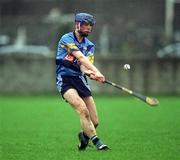 19 February 2002; Brian Hogan of UCD during the Fitzgibbon Cup Final Replay match between UCD and UCC at McDonagh Park in Nenagh, Tipperary. Photo by Photo by Matt Browne/Sportsfile