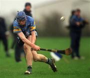 19 February 2002; Brian Hogan of UCD during the Fitzgibbon Cup Final Replay match between UCD and UCC at McDonagh Park in Nenagh, Tipperary. Photo by Photo by Matt Browne/Sportsfile