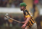 24 February 2002; Richard Mullally of Kilkenny  during Allianz National Hurling League Division 1A Round 1 match between Kilkenny and Waterford in Nowlan Park, Kilkenny. Photo by Damien Eagers/Sportsfile
