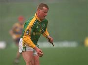 24 February 2002; Paul Donnelly of Meath during the Allianz National Hurling League Division 1 Round1 match between Clare and Meath at Pairc Tailteann in Navan, Meath. Photo by Aofie Rice/Sportsfile