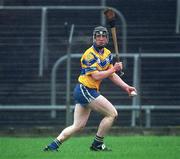 24 February 2002; Niall Gilligan of Clare during the Allianz National Hurling League Division 1 Round1 match between Clare and Meath at Pairc Tailteann in Navan, Meath. Photo by Aofie Rice/Sportsfile