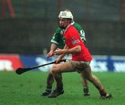 25 February 2002; Timmy McCarthy of Cork during the Allianz National Hurling League Division 1B Round 1 match between Limerick and Cork at the Gaelic Grounds in Limerick. Photo by Brendan Moran/Sportsfile