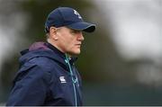 31 January 2017; Ireland head coach Joe Schmidt during squad training at Carton House in Maynooth, Co Kildare. Photo by Seb Daly/Sportsfile