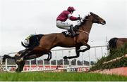 29 January 2017; Identity Thief, with David Mullins up, run in the Frank Ward Solicitors Arkle Novice Steeplechase during the Leopardstown Races at Leopardstown Racecourse in Dublin. Photo by Cody Glenn/Sportsfile