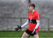 31 January 2017; Killian Spillane of University College Cork appeals to the referee following a disallowed goal during the Independent.ie HE GAA Sigerson Cup Round 1 match between DCU St Patricks Campus and University College Cork at DCU Sportsgrounds in Dublin. Photo by Ramsey Cardy/Sportsfile