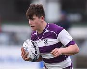 31 January 2017; Dan Sheehan of Clongowes Wood College during the Bank of Ireland Leinster Schools Senior Cup Round 1 match between Clongowes Wood College and St Fintan's High School at Donnybrook Stadium in Donnybrook, Dublin. Photo by Matt Browne/Sportsfile