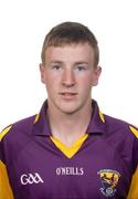 30 June 2011; Michael Furlong, Wexford. Wexford Football Squad Headshots 2011, Castletown, Co. Wexford. Picture credit: Barry Cregg / SPORTSFILE
