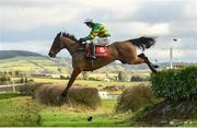 5 February 2017; Colour Squadron, with Mark Walsh up, during the P.P Hogan Memorial Cross Country Steeplechase at Punchestown Racecourse in Naas, Co. Kildare. Photo by Ramsey Cardy/Sportsfile