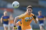 5 February 2017; Conor Small of Antrim in action against Tipperary during the Allianz Football League Division 3 Round 1 match between Tipperary and Antrim at Semple Stadium in Thurles, Co. Tipperary. Photo by Matt Browne/Sportsfile