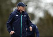 6 February 2017; Ireland head coach Joe Schmit during squad training at Carton House in Maynooth, Co. Kildare. Photo by Eóin Noonan/Sportsfile