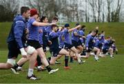 6 February 2017; Munster players in action during squad training at the University of Limerick. Photo by Diarmuid Greene/Sportsfile