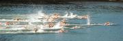 24 June 2011; Action from the University Race. 2011 Pontevedra ETU Triathlon European Championships - University Race, Pontevedra, Spain. Picture credit: Stephen McCarthy / SPORTSFILE