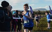 7 February 2017; Tadhg Staunton, age 13, from St. Joseph's Foxford, Co Mayo, on his way to winning the minor boys 2000m final during the Irish Life Health Connacht Schools Cross Country at Calry Community Park in Sligo. Photo by David Maher/Sportsfile