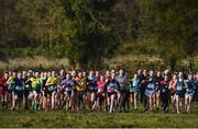 7 February 2017; A general view of the start of the minor girls 2000m final during the Irish Life Health Connacht Schools Cross Country at Calry Community Park in Sligo. Photo by David Maher/Sportsfile