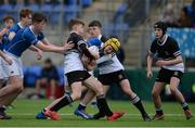 10 February 2017; JohnLuc Carvill of St Mary's College during the Bank of Ireland Leinster Schools Junior Cup Round 1 match between Newbridge College and St Mary's College at Donnybrook Stadium in Donnybrook, Dublin. Photo by Daire Brennan/Sportsfile