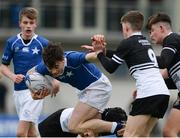 10 February 2017; Daragh Nulty of St Mary's College during the Bank of Ireland Leinster Schools Junior Cup Round 1 match between Newbridge College and St Mary's College at Donnybrook Stadium in Donnybrook, Dublin. Photo by Daire Brennan/Sportsfile