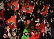 10 February 2017; Munster supporters celebrate the last try of the game scored by Ronan O'Mahony of Munster during the Guinness PRO12 Round 14 match between Munster and Newport Gwent Dragons at Irish Independent Park in Cork. Photo by Diarmuid Greene/Sportsfile