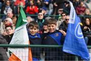 12 February 2017; Leinster supporters during the Guinness PRO12 Round 14 match between Benetton Treviso and Leinster at Stadio Monigo in Treviso, Italy. Photo by Stephen McCarthy/Sportsfile