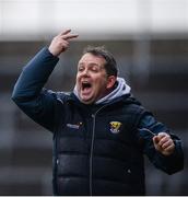 12 February 2017; Wexford manager Davy Fitzgerald during the Allianz Hurling League Division 1B Round 1 game between Wexford and Limerick at Innovate Wexford Park in Wexford. Photo by Daire Brennan/Sportsfile
