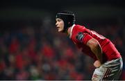 10 February 2017; Tyler Bleyendaal of Munster during the Guinness PRO12 Round 14 match between Munster and Newport Gwent Dragons at Irish Independent Park in Cork. Photo by Diarmuid Greene/Sportsfile