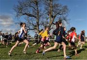 15 February 2017; A general view of the Minor Girls final 1500m race during the Irish Life Health Leinster Schools Cross Country at Santry Demesne in Santry, Co Dublin. Photo by David Maher/Sportsfile