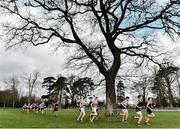 15 February 2017; A general view of the Minor Boys 2000m race during the Irish Life Health Leinster Schools Cross Country at Santry Demesne in Santry, Co Dublin. Photo by David Maher/Sportsfile